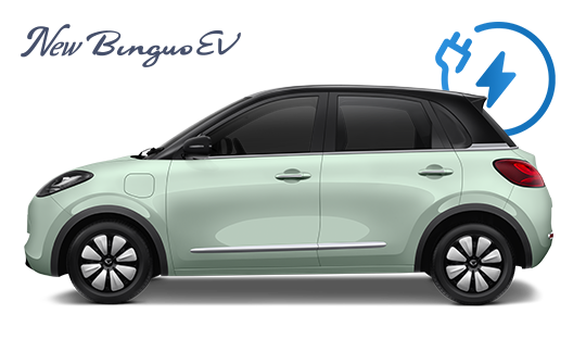 Wuling BinguoEV — model-family reference image; year, market and trim may differ